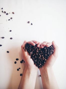 Coffee beans in hands - Kostenloses image #337891